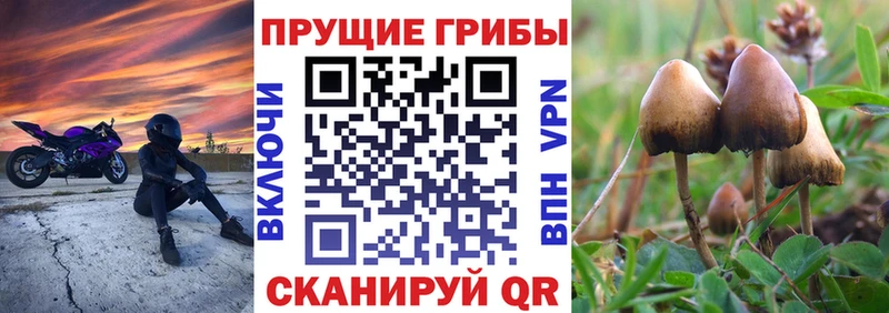 Галлюциногенные грибы ЛСД  Красный Сулин 