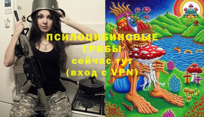 OMG онион  Красный Сулин  Галлюциногенные грибы Cubensis 