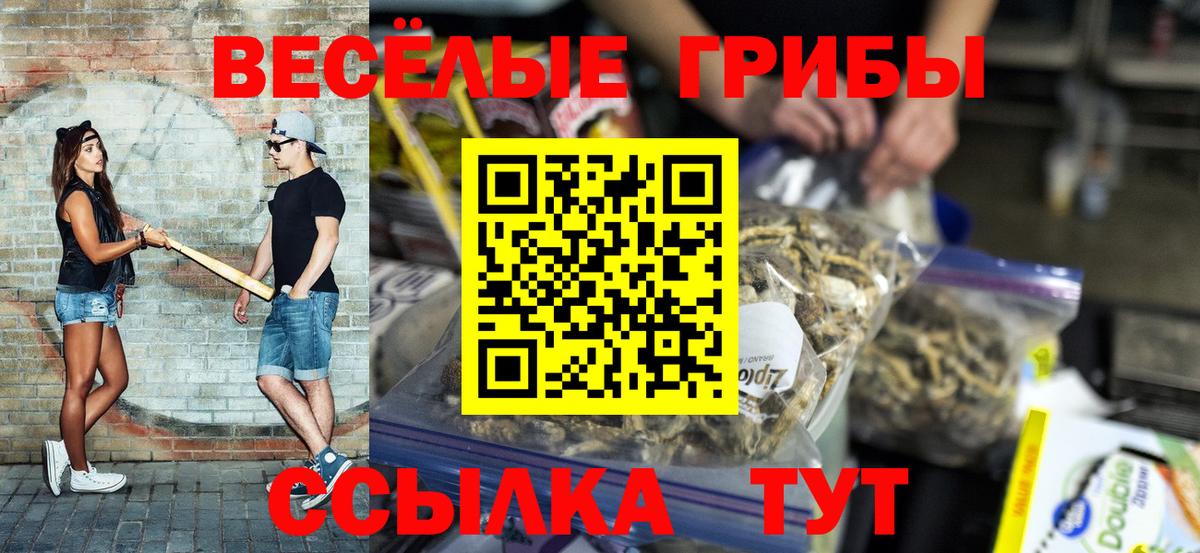 Псилоцибиновые грибы Psilocybe Красный Сулин