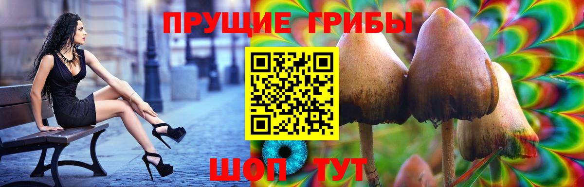 Красный Сулин  Галлюциногенные грибы MAGIC MUSHROOMS  Вход с VPN  Псилоцибиновые грибы прущие грибы 